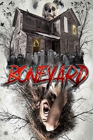 Boneyard's poster