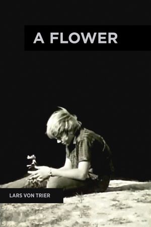 A Flower's poster