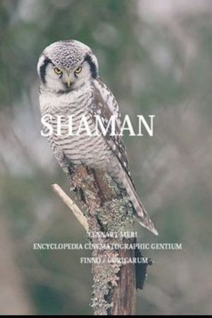 The Shaman's poster