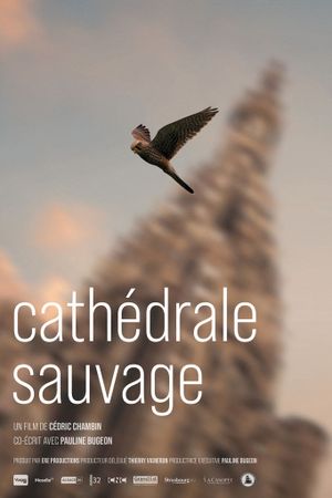 Cathédrale sauvage's poster