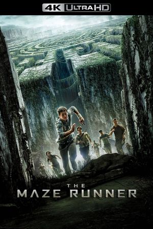 The Maze Runner's poster