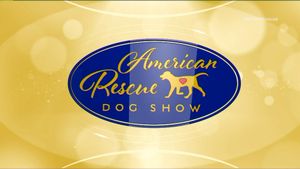 The 2018 American Rescue Dog Show's poster