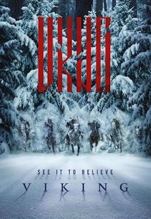 Viking's poster