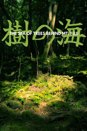 Ki no umi's poster