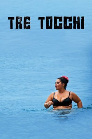 Three Touches's poster