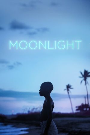 Moonlight's poster
