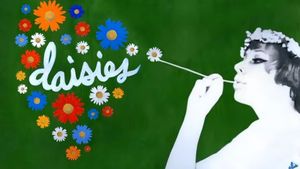 Daisies's poster