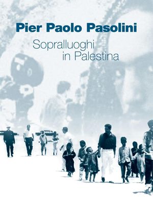 Location Hunting in Palestine's poster