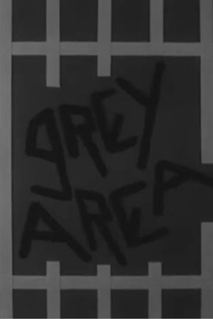 Grey Area's poster