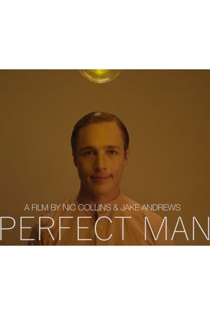 Perfect Man's poster image