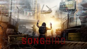 Songbird's poster