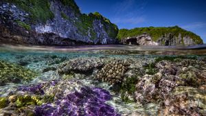 Protecting Paradise: The Story of Niue's poster