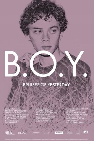 B.O.Y.: Bruises of Yesterday's poster