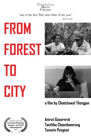 From Forest To City's poster