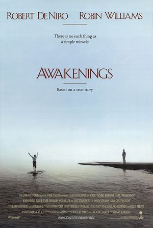 Awakenings's poster