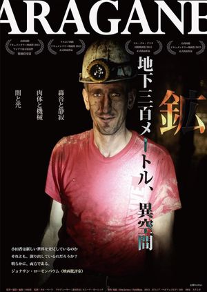 Aragane's poster