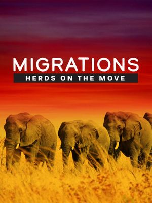 Migrations: Herds on the Move's poster