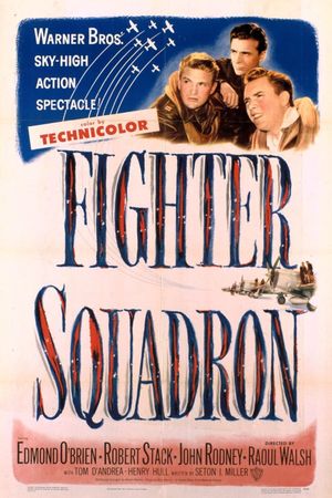 Fighter Squadron's poster