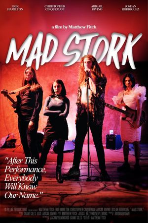 Mad Stork's poster