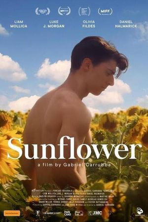 Sunflower's poster