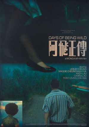 Days of Being Wild's poster