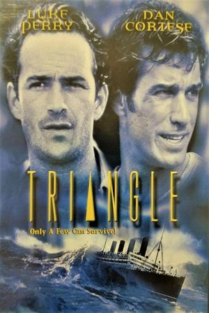 The Triangle's poster