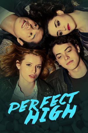 Perfect High's poster