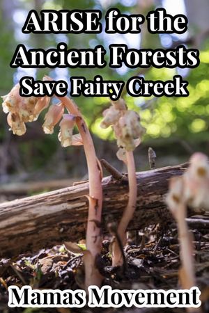 ARISE for the Ancient Forests | Save Fairy Creek's poster