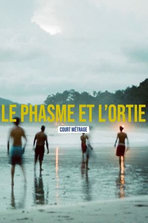 Le phasme et l'ortie's poster