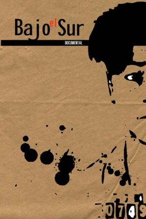 Bajo el sur's poster