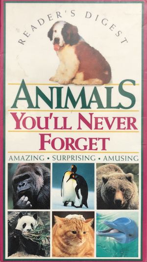 Animals You'll Never Forget's poster