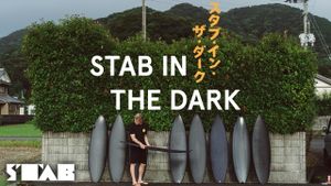 Stab in the Dark's poster