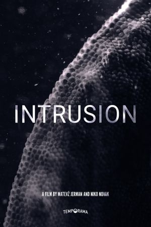 Intrusion's poster