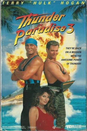 Thunder in Paradise 3's poster