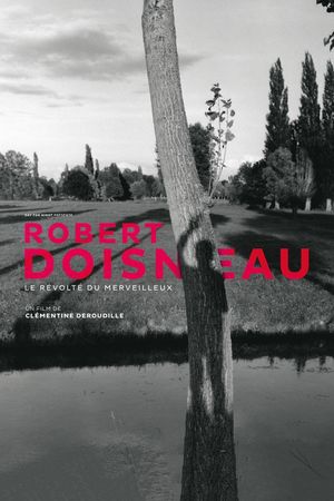 Robert Doisneau: Through the Lens's poster