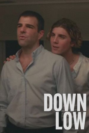 Down Low's poster