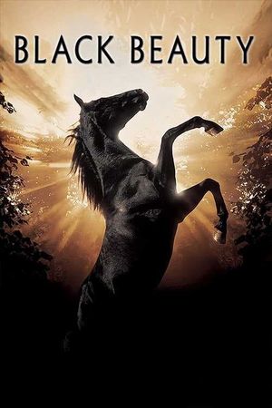 Black Beauty's poster