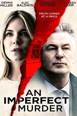An Imperfect Murder's poster