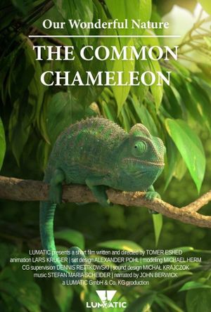 Our Wonderful Nature - The Common Chameleon's poster image