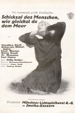 Sturmflut's poster