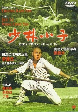 Kids from Shaolin's poster