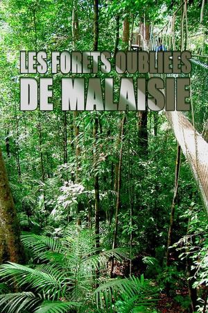 Les forêts oubliées de Malaisie's poster