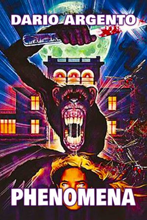 Phenomena's poster
