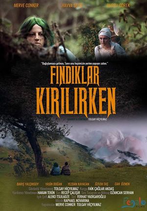 Findiklar Kirilirken's poster