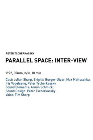 Parallel Space: Inter-View's poster