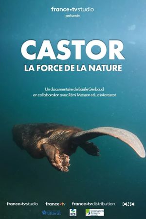 Castor, la force de la nature's poster