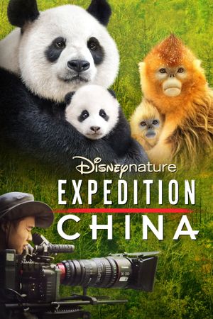 Expedition China's poster