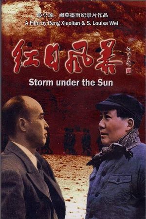 Storm Under the Sun's poster