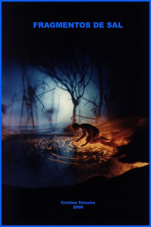Fragmentos de Sal's poster