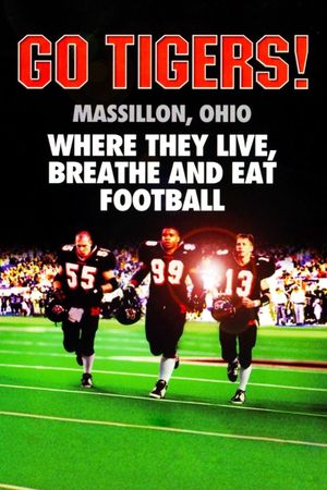 Go Tigers!'s poster